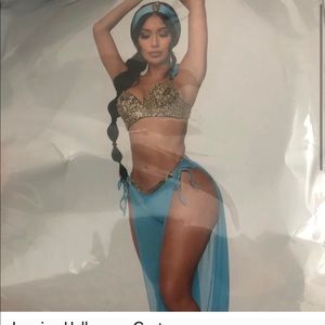Jasmine Halloween costume! Like new!